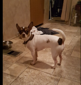 Houston Leisure RV Resort