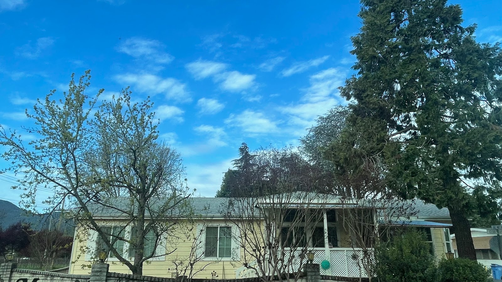 Manor Oaks Overniter