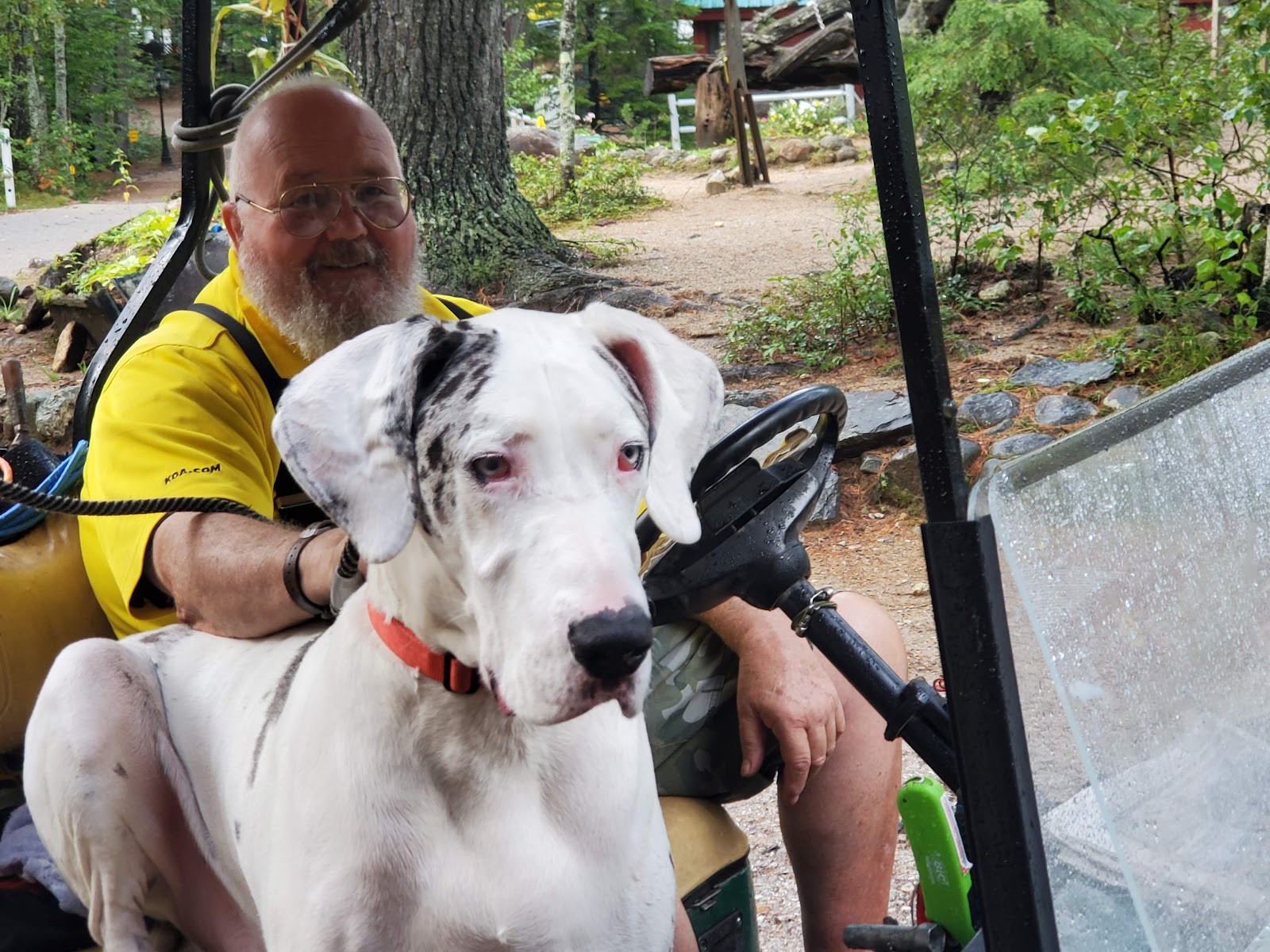 Chocorua Camping Village