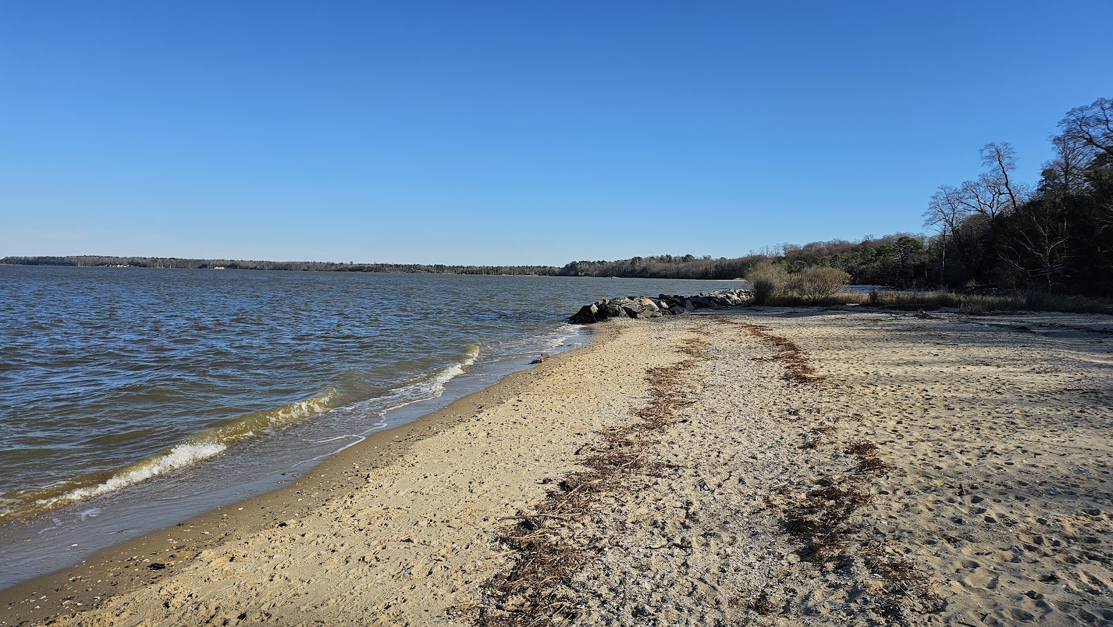 Chippokes State Park Campground