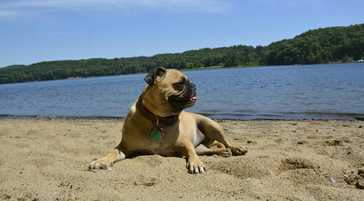 Barton Cove Campground and Canoe Rental