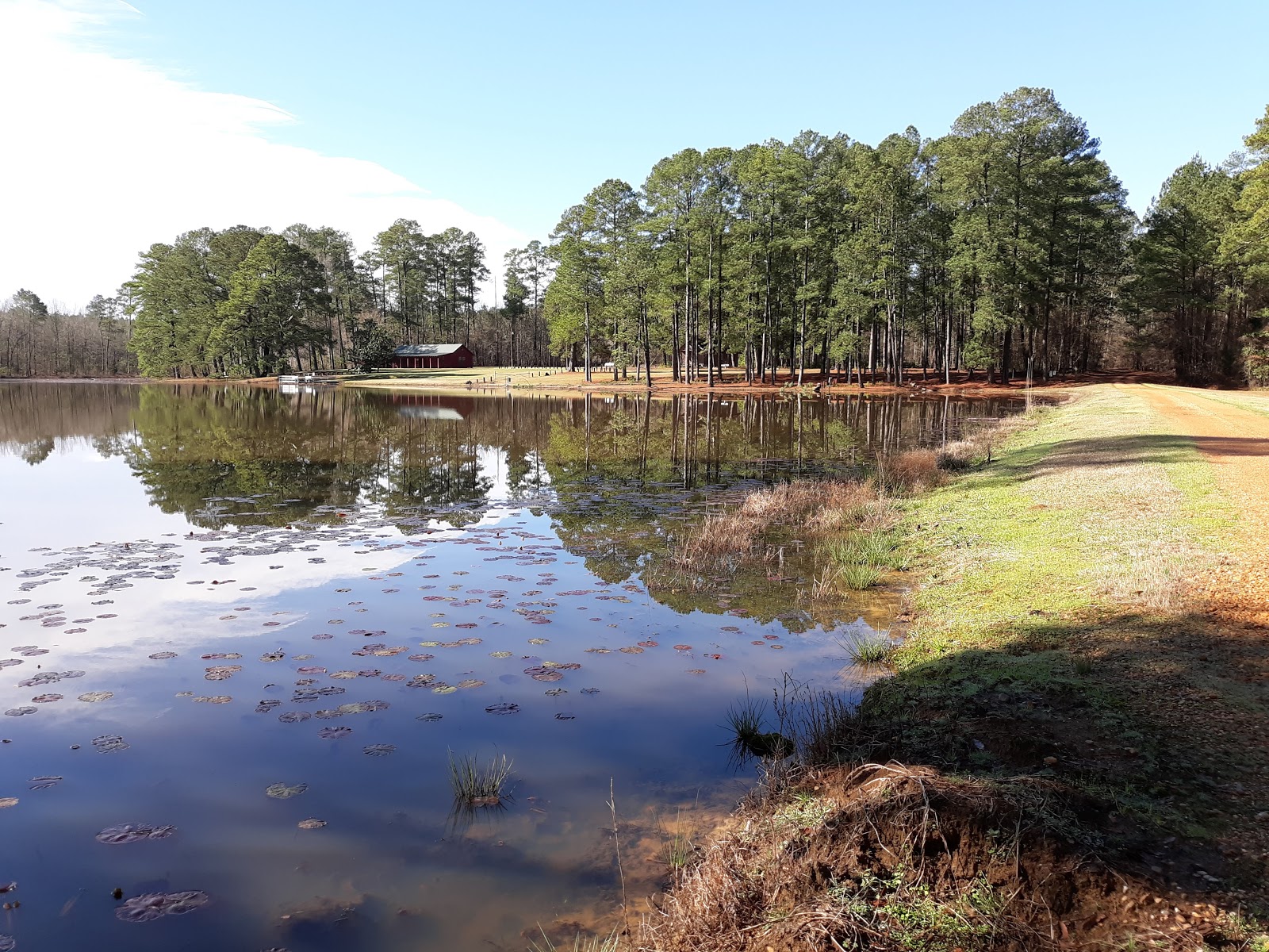 John W. Starr Memorial Forest WMA