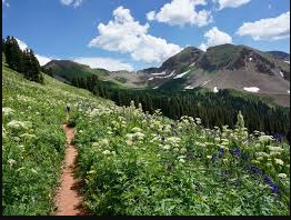 San Juan National Forest