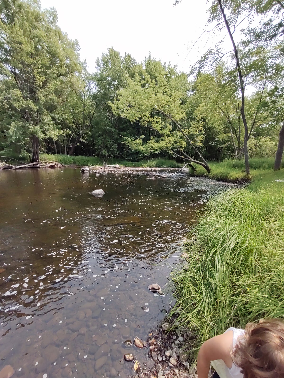 Jimmys World Campground and Bar