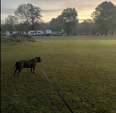 Jolly Acres RV Park and Storage