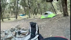 Camp Rucker Group Site