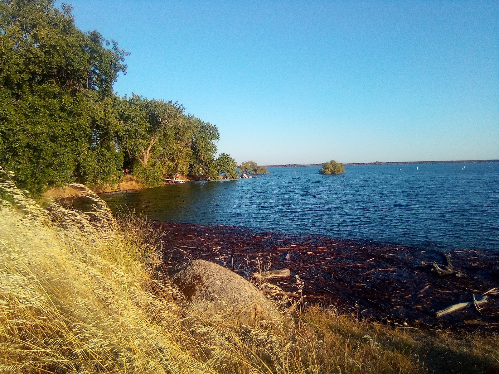 Beals Point - Folsom Lake State Rec Area