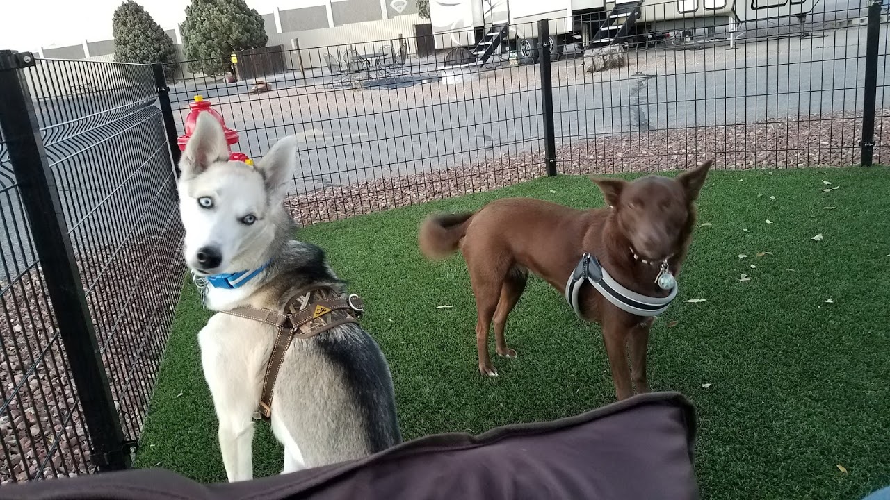 Toledo East / Stony Ridge KOA Kampground