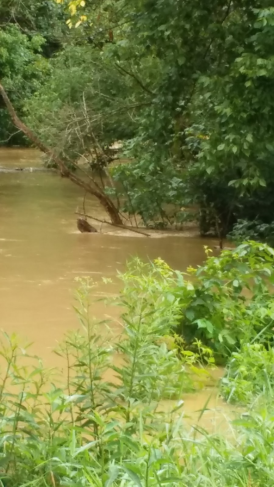 Mt. Morris Campground