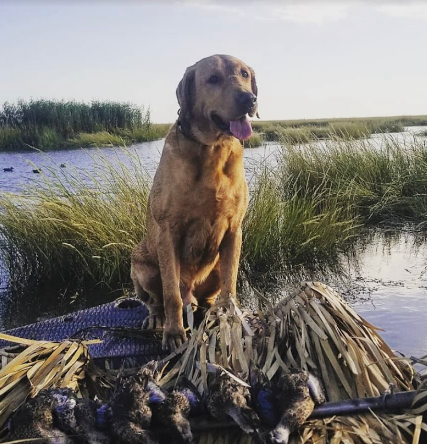 I'm on Vacation - Lodge + RV Retreat