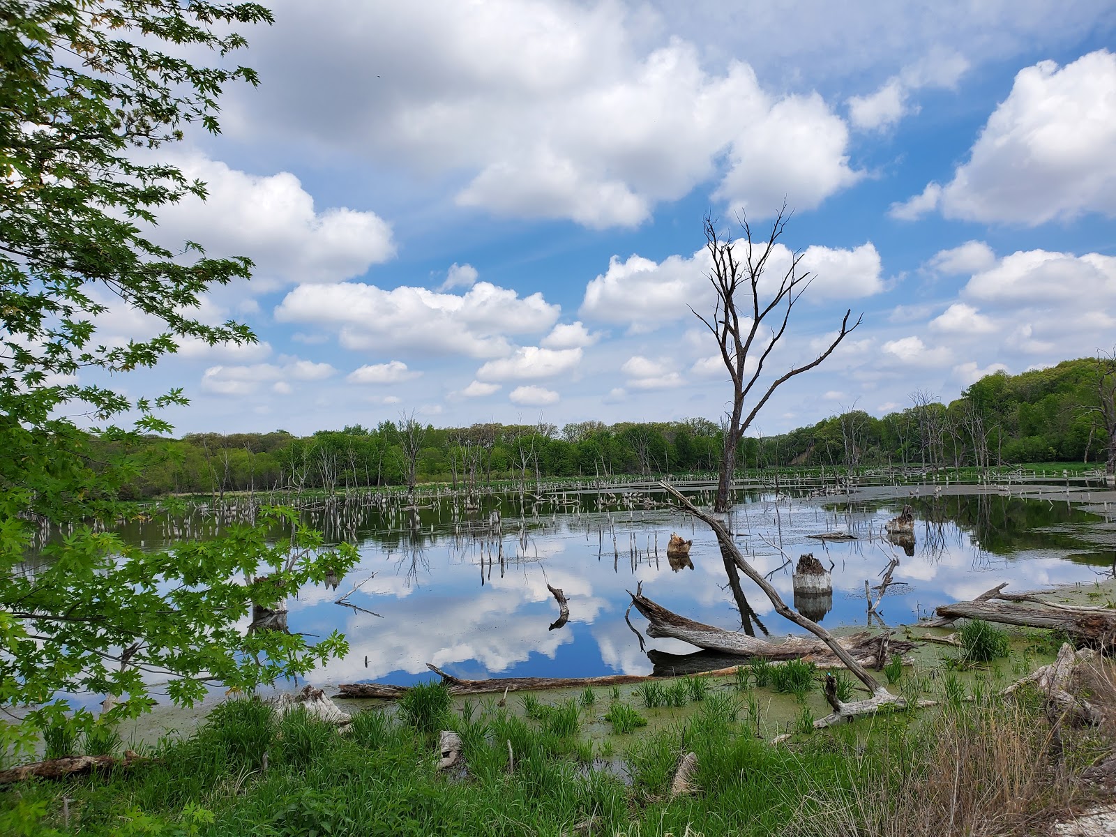 Brushy Creek State Park