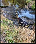 Bailey Ford Delaware County Park