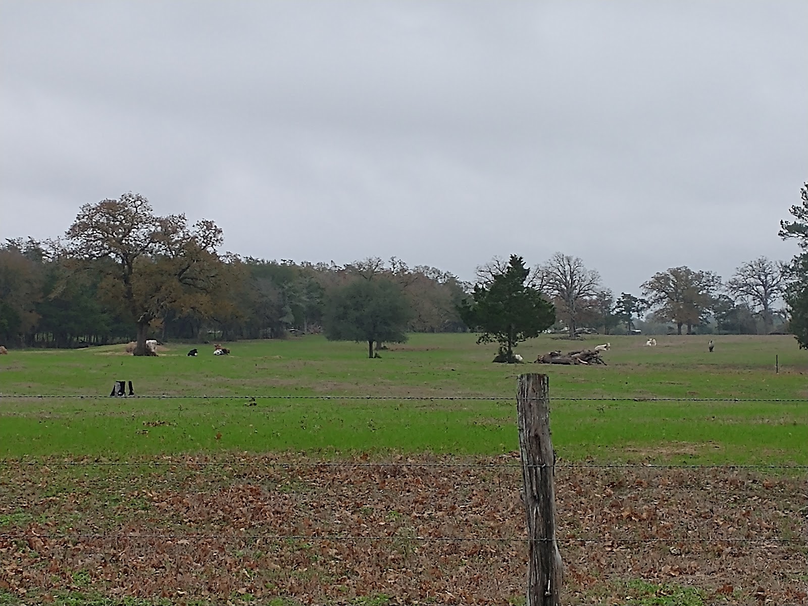 The South 40 RV Park