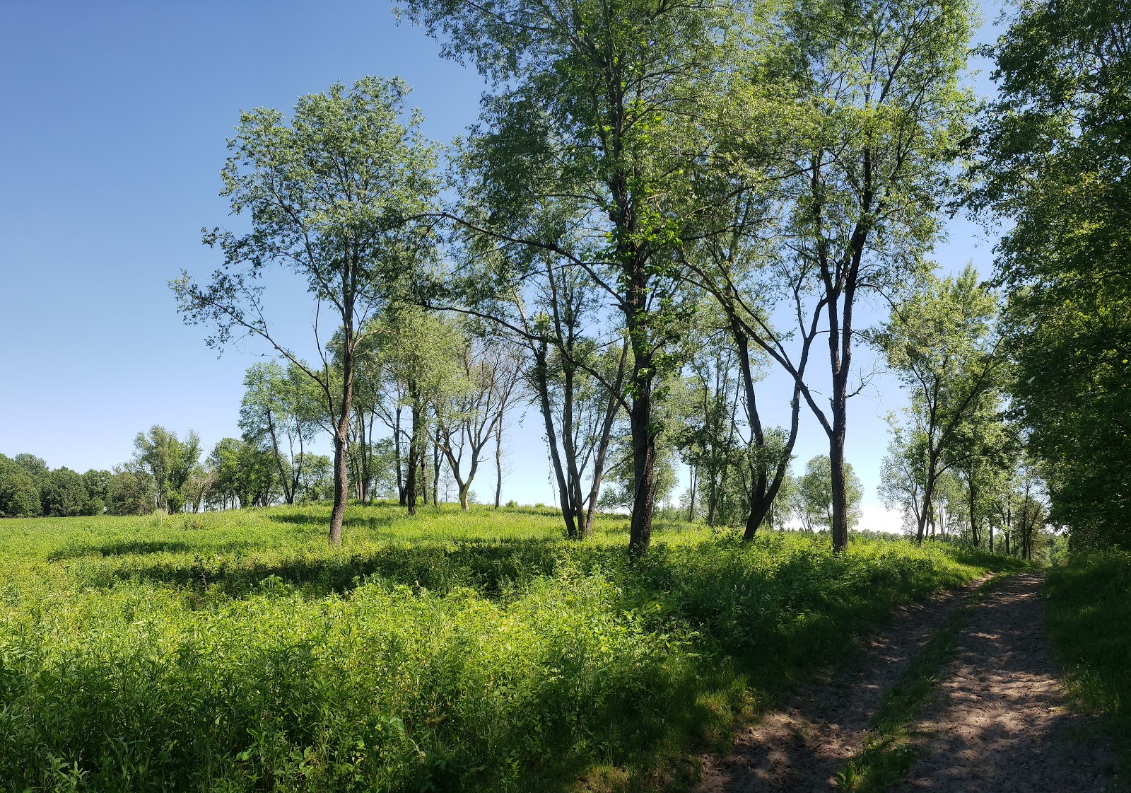 Matsell Bridge Natural Area