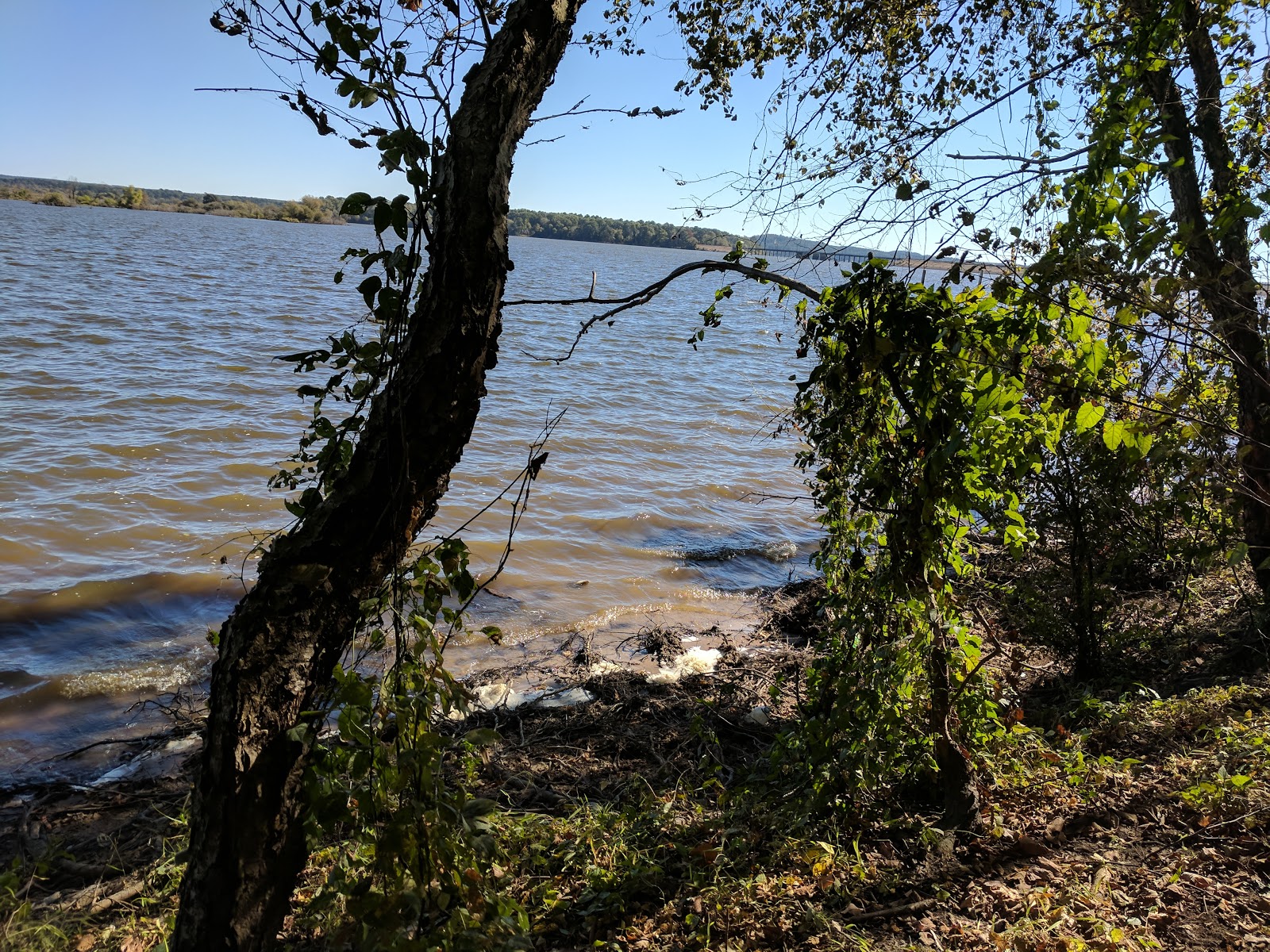 Lakeview Camping Resort