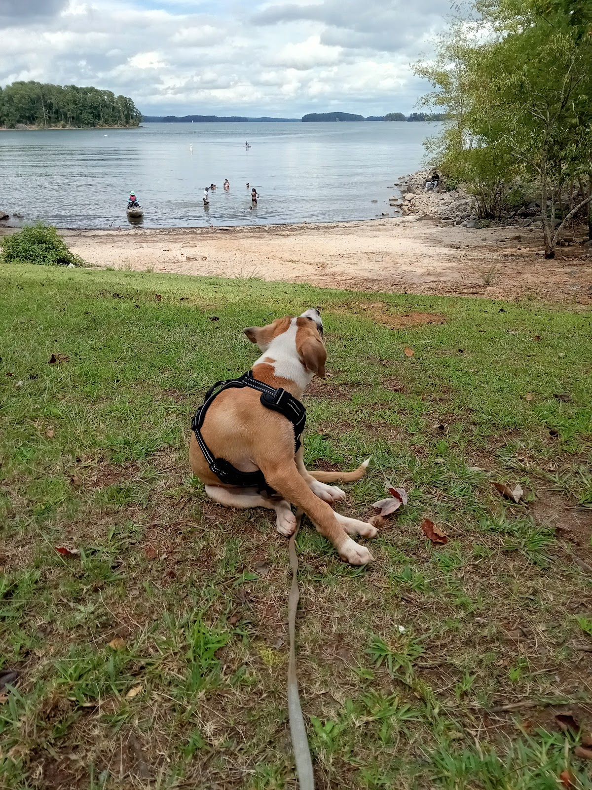 West Bank Park Shelters (GA)