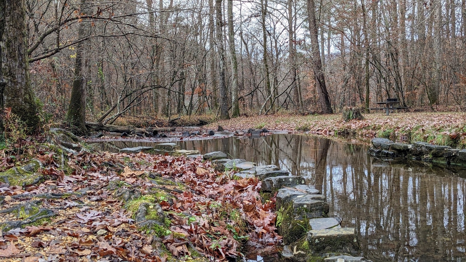 The Pocket Recreation Area