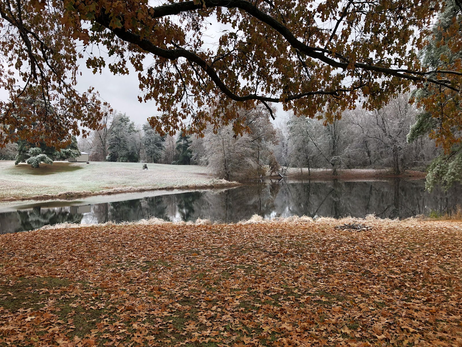 Windy Hollow Camp and Recreation