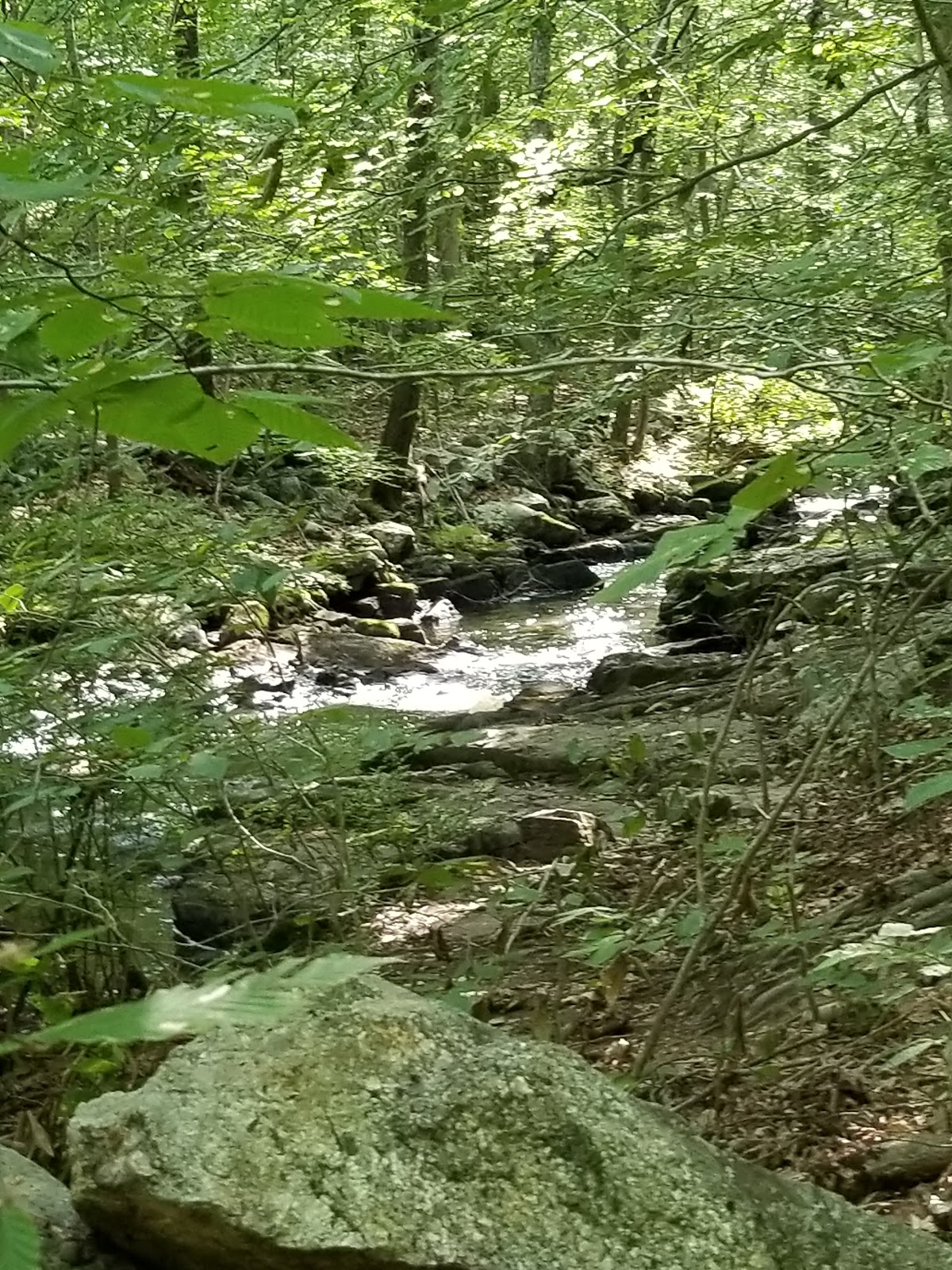 Ward Pound Ridge Reservation