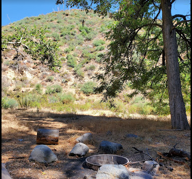 Valley Forge Trail Camp