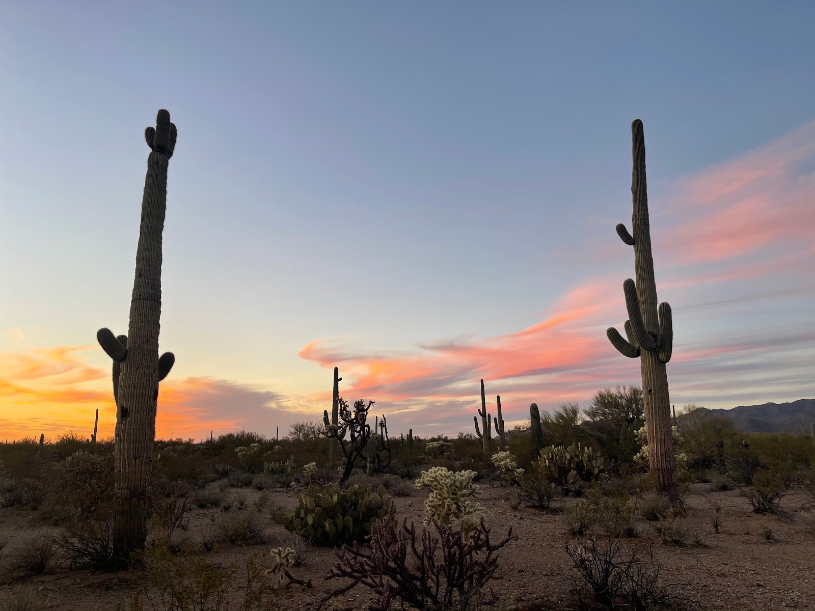 Desert Trails RV Park