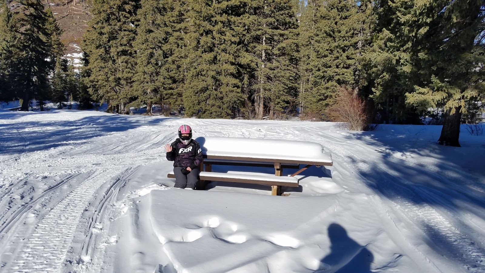 Black Fox Campground