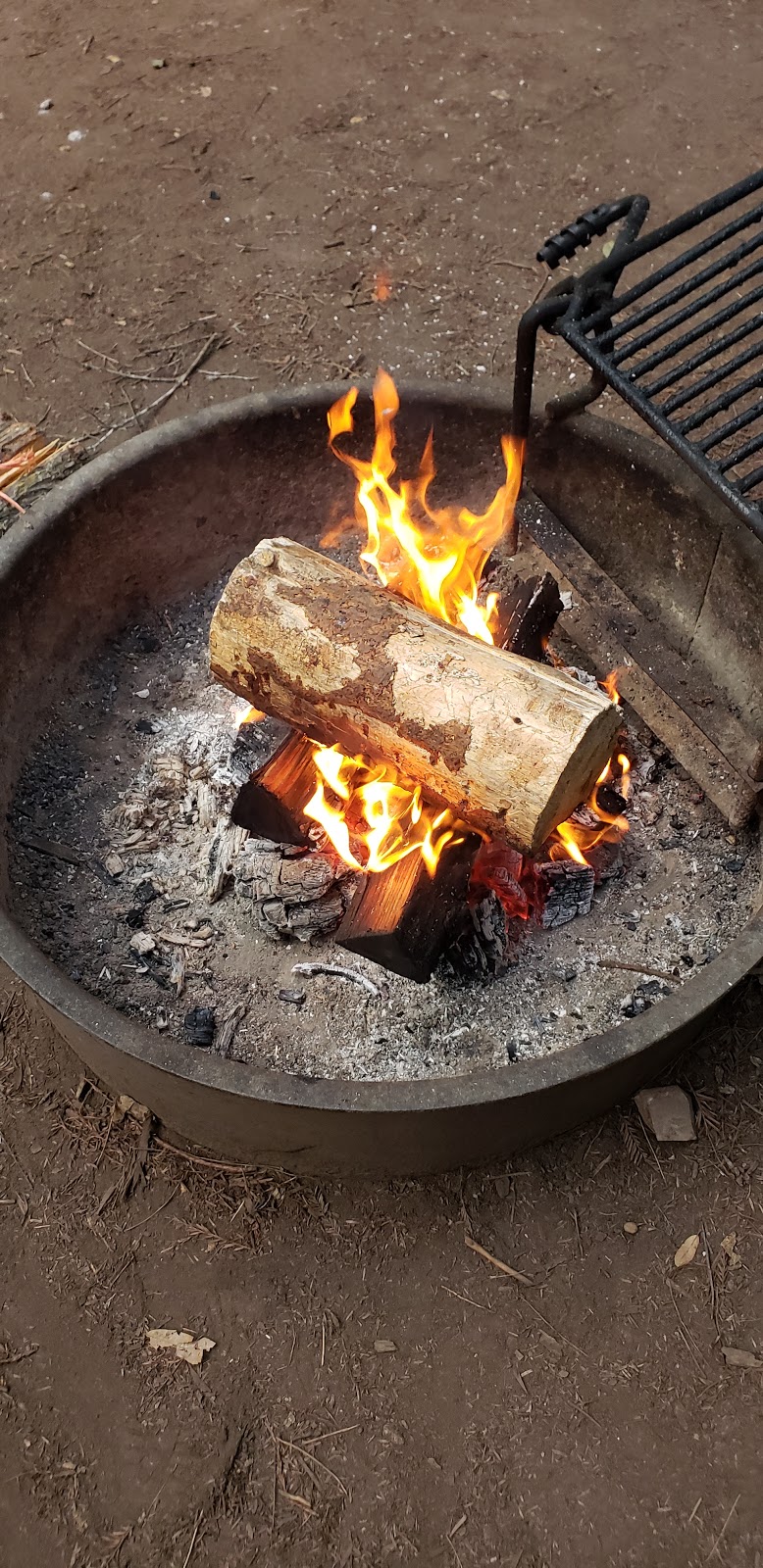 Tan Oak Campground, Mt Madonna County Park