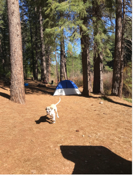 Deadlun Campground