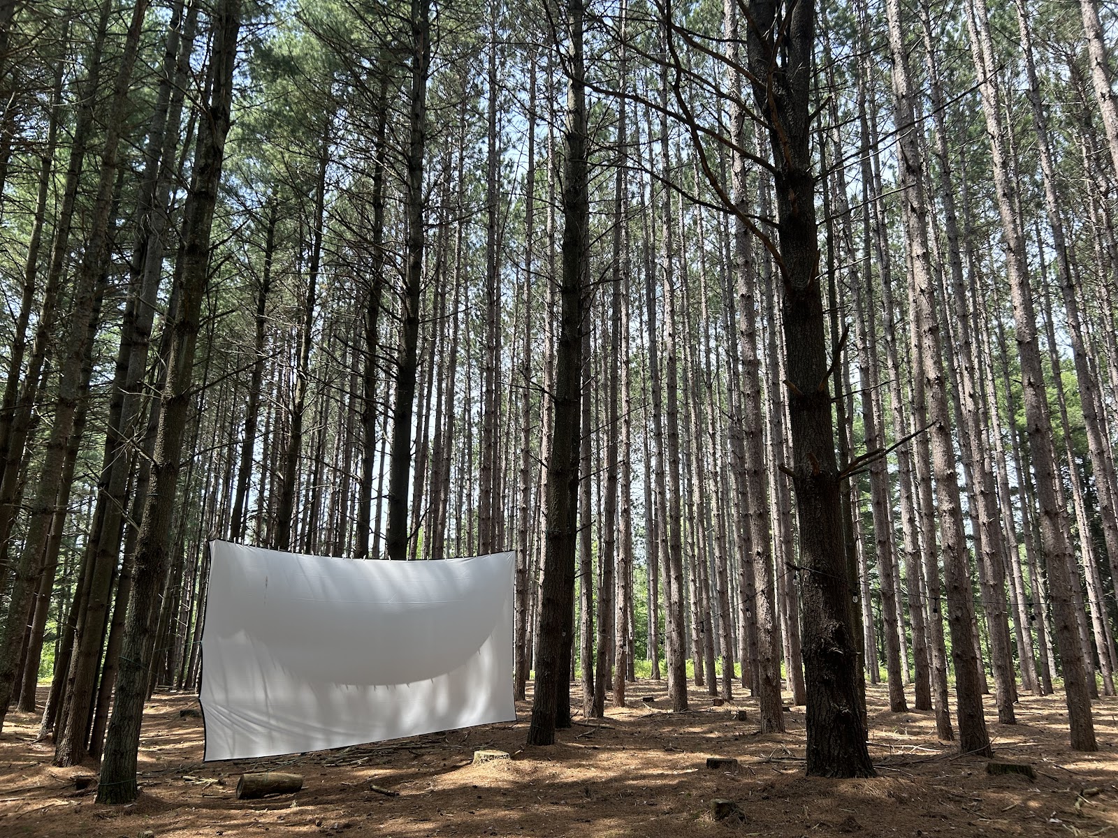 Leelanau Pines Campground