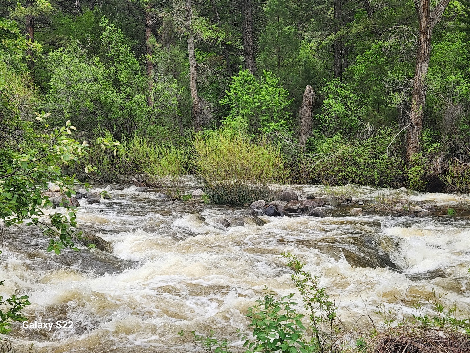 Leigh Creek Campground