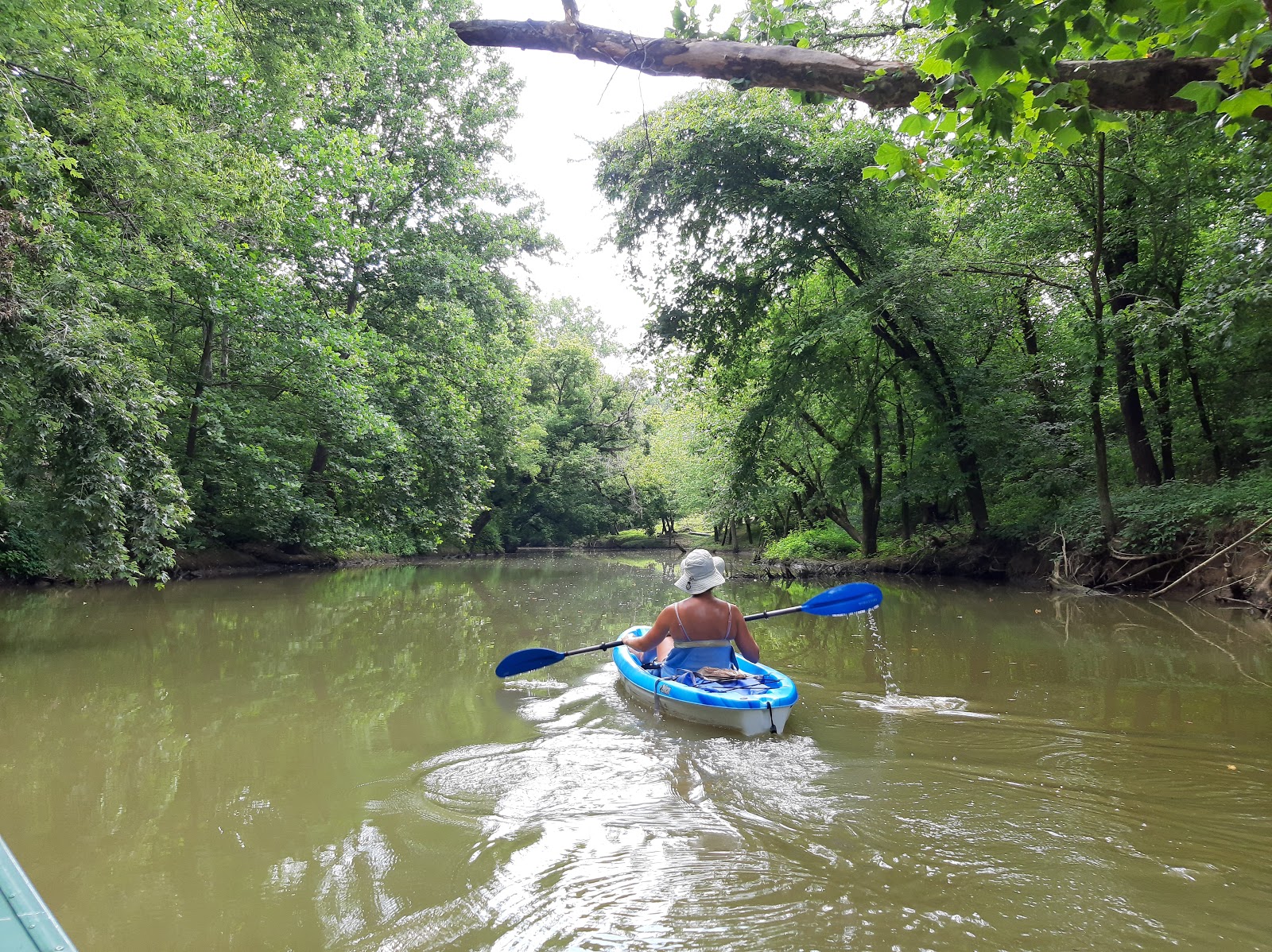 Big Bone Landing Marina & Campground