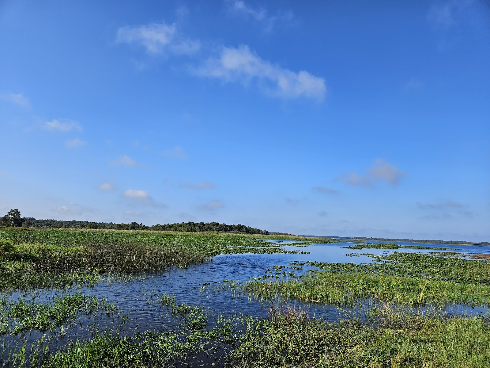 Camp Mack's River Resort Airboat Rides