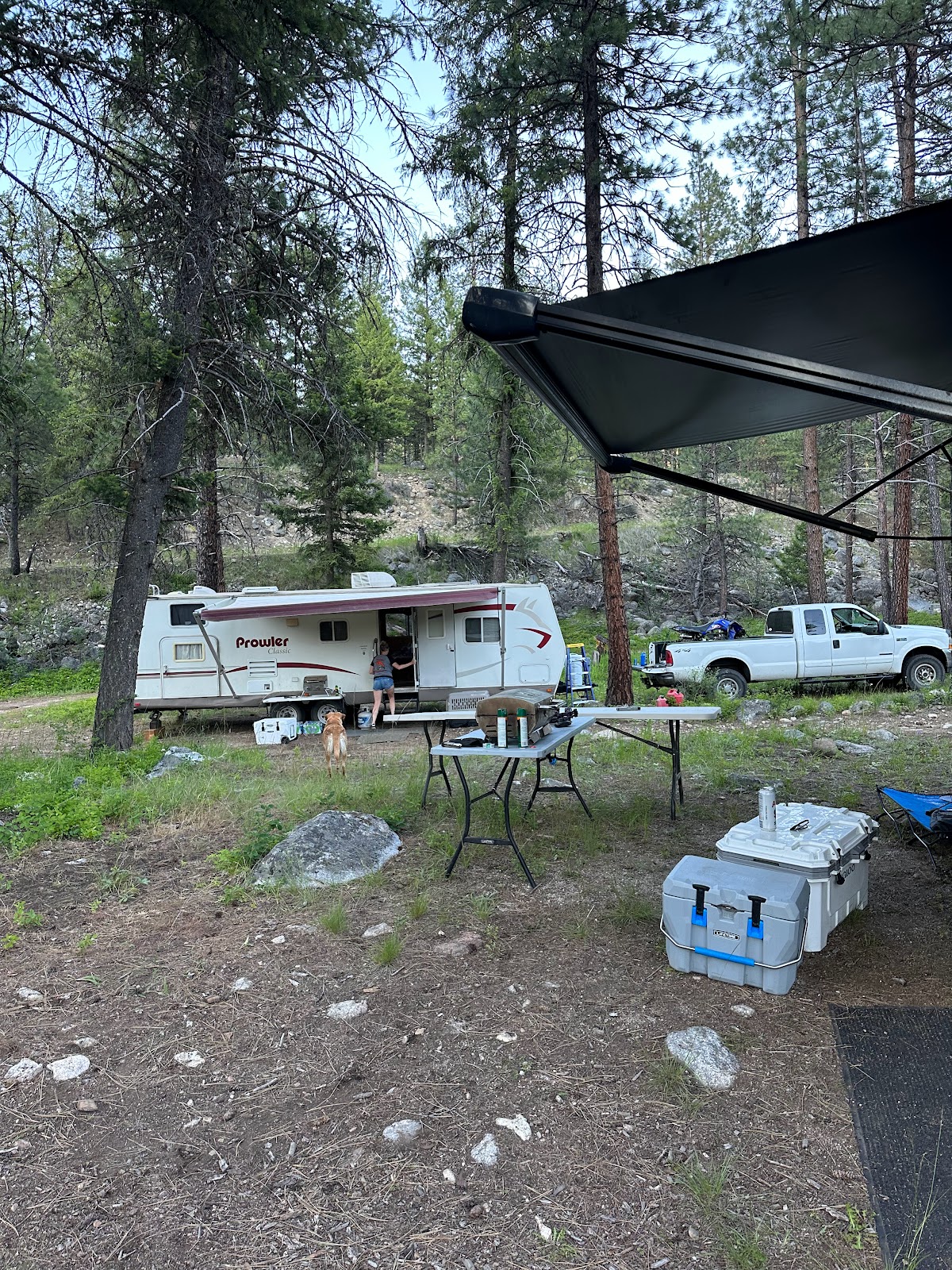 Yellow Pine Campground