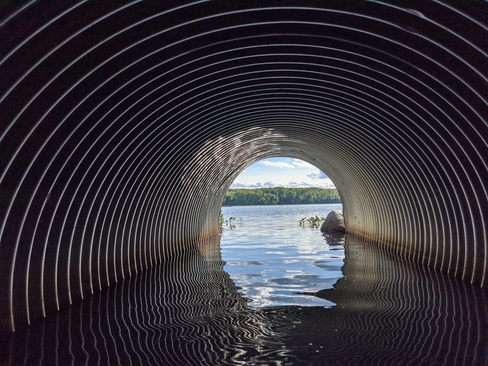 Plum Lake - Northern Highland-American Legion SF