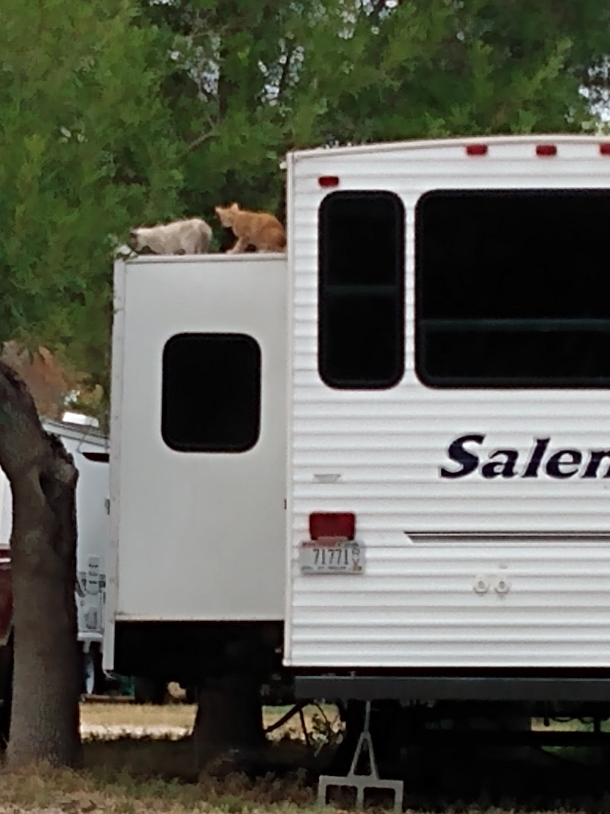 Buzzard Roost RV Campground