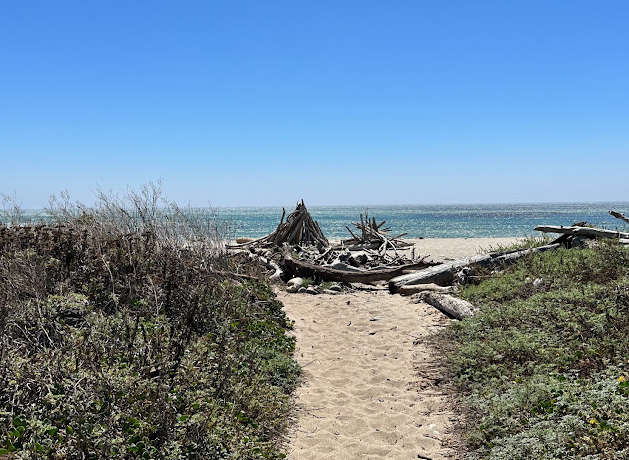 Andrew Molera State Park