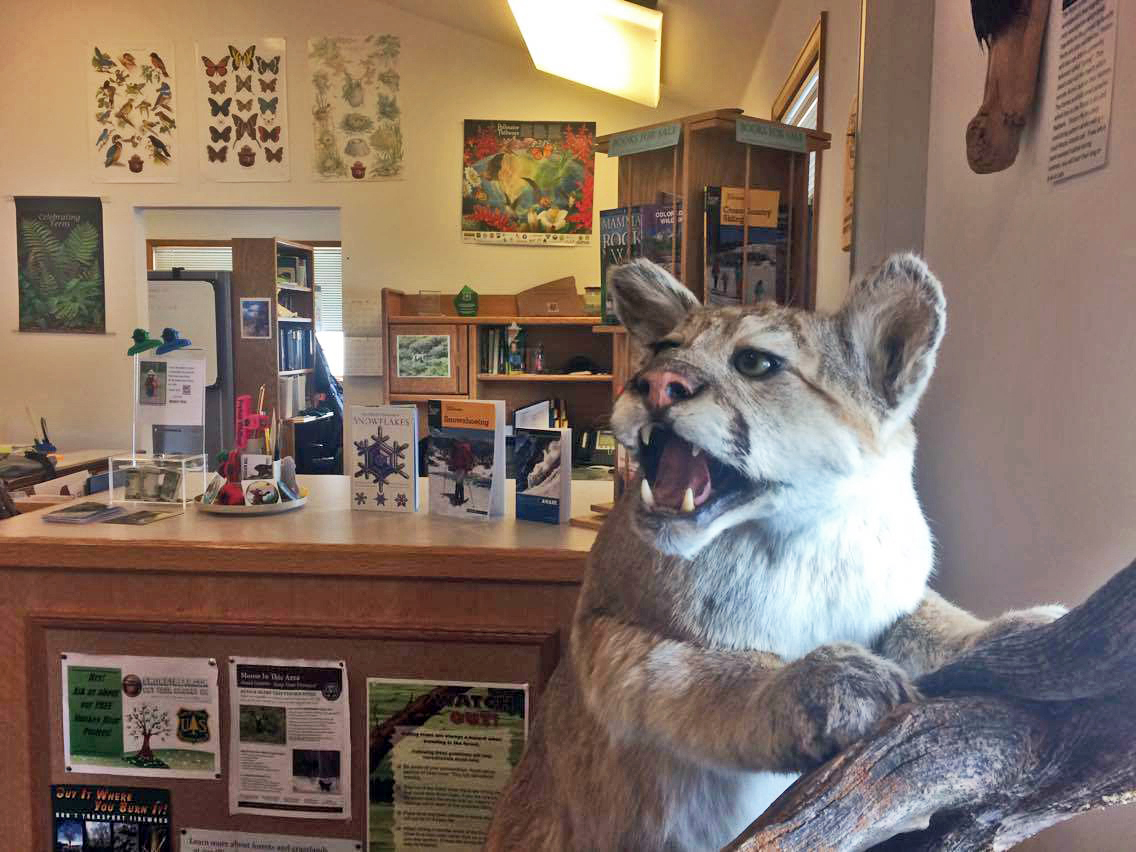 Horseshoe Campground