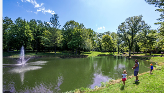 Cozy-Dale Campground