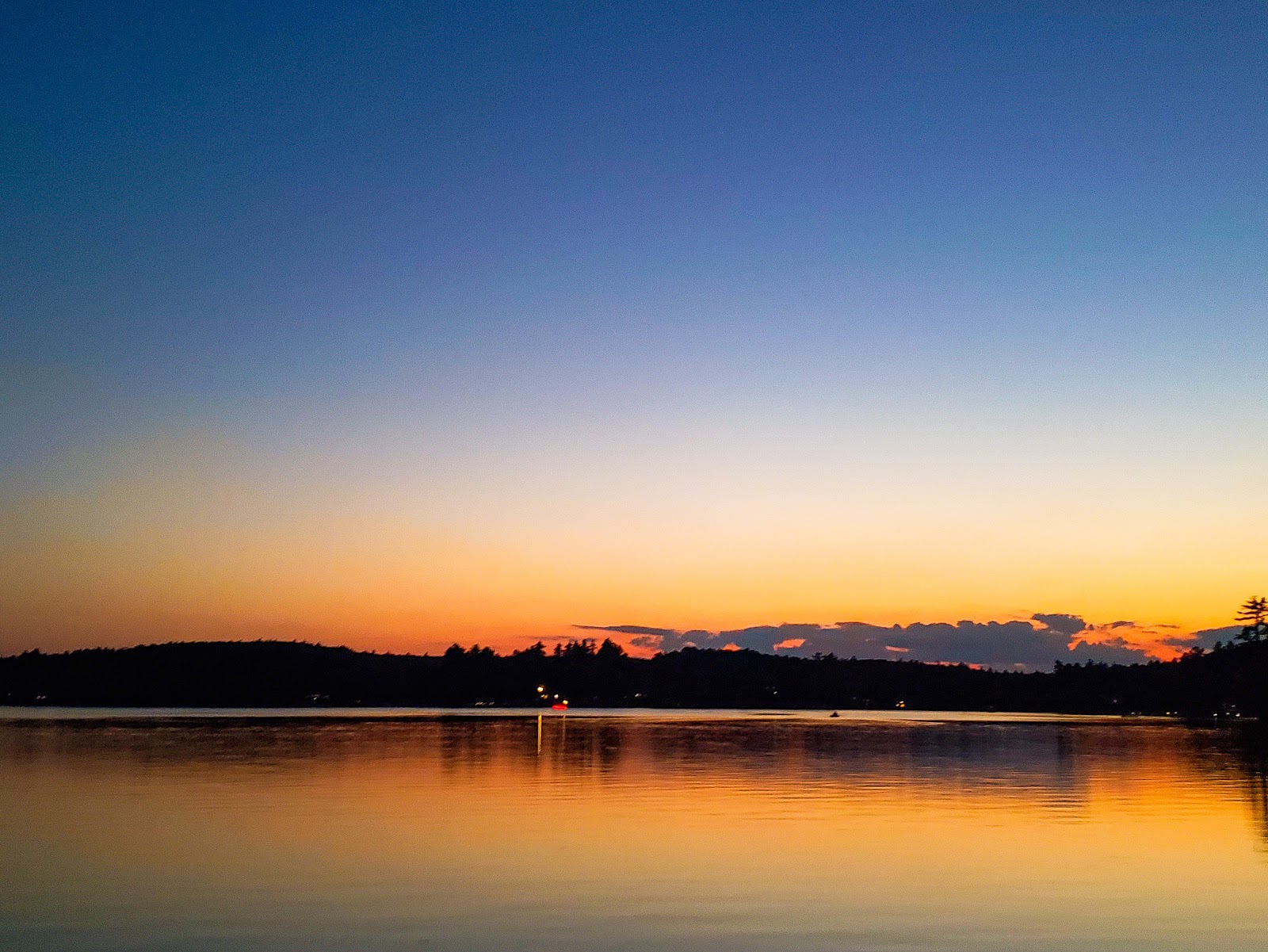 Angle Pond Grove Camping