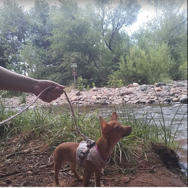 Crescent Moon Ranch Cabin