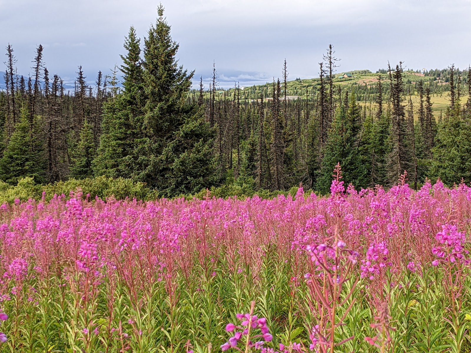 Eveline State Recreation Site