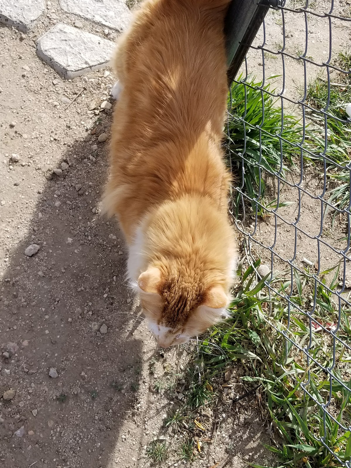 Northeast Denver/Pepper Pod KOA