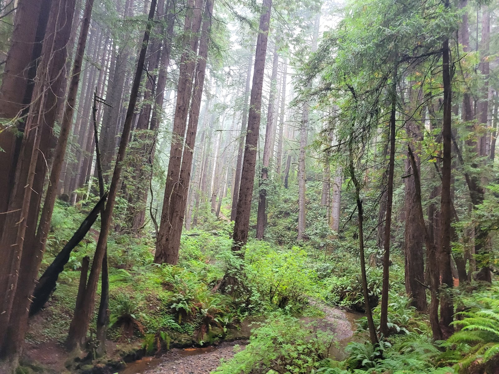 Stillwater Cove Regional Park