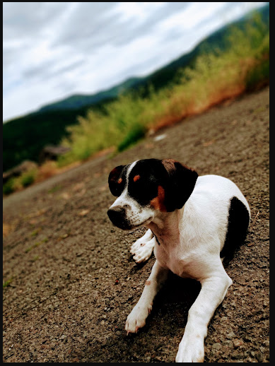 Along the River Park