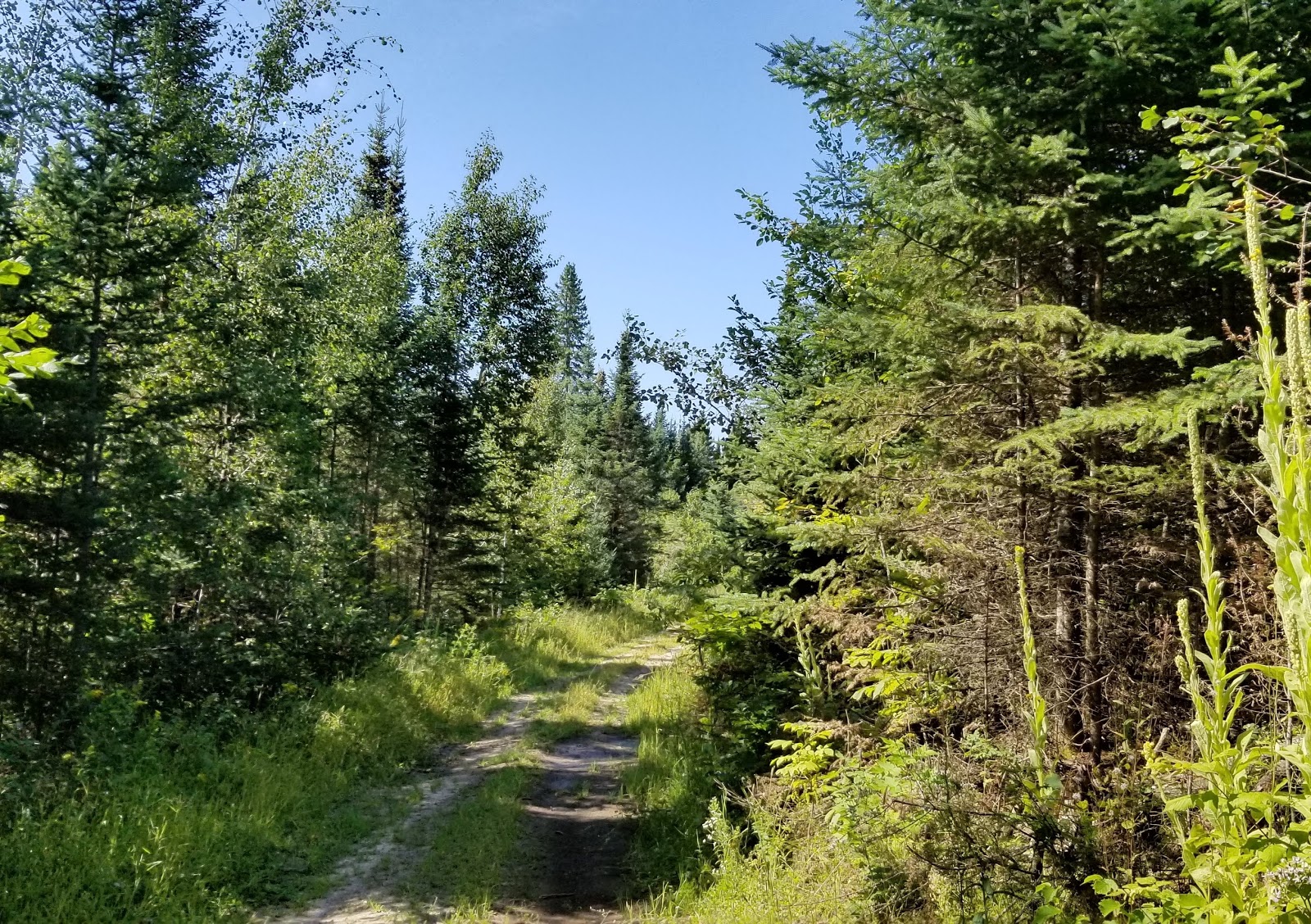 Hungryman Lake Campground
