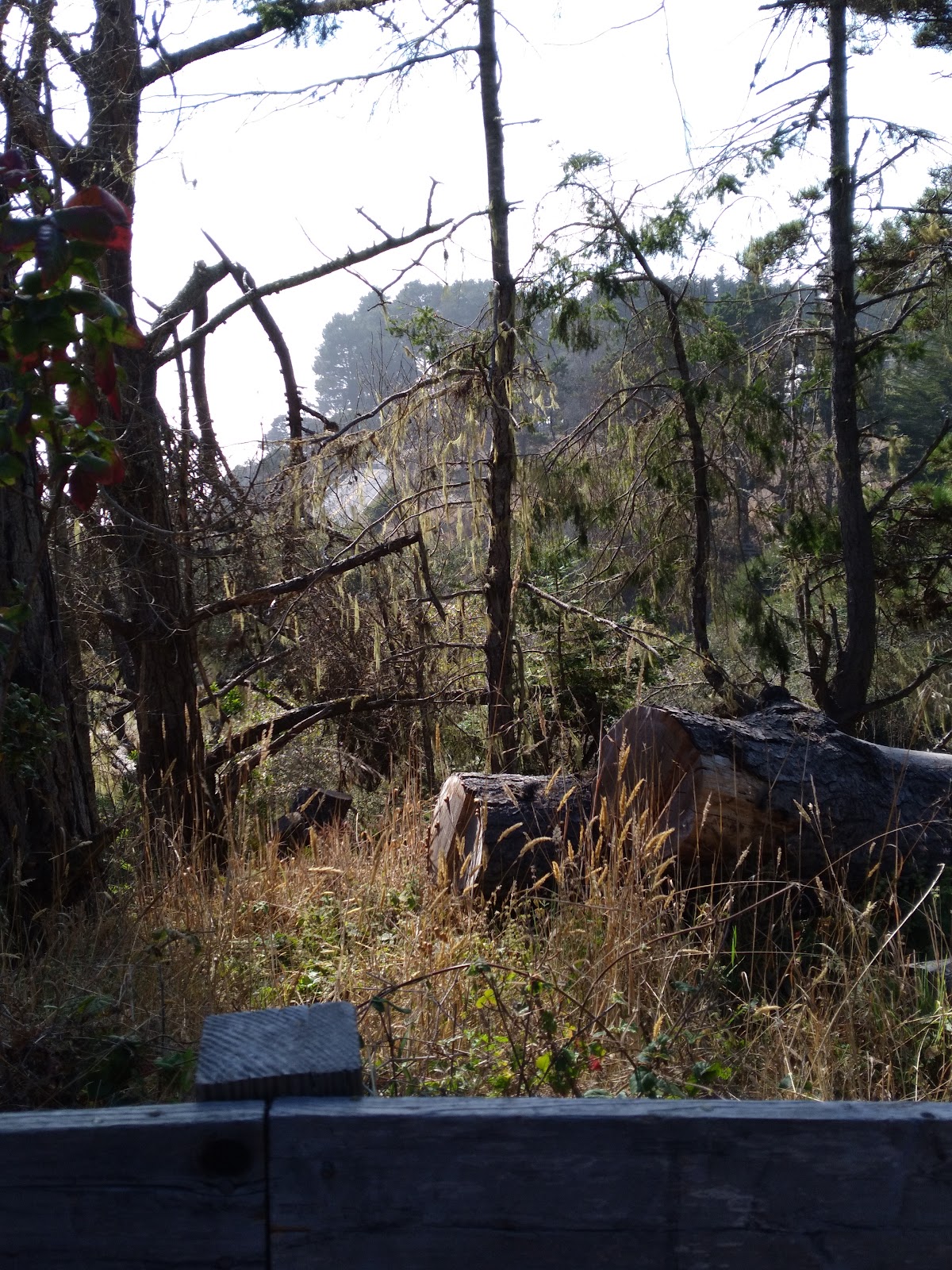 Stillwater Cove Regional Park