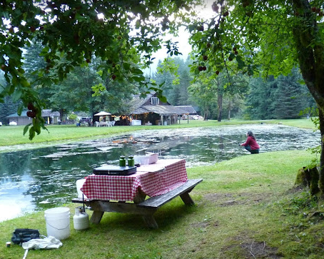 Tower Rock U-Fish RV Park