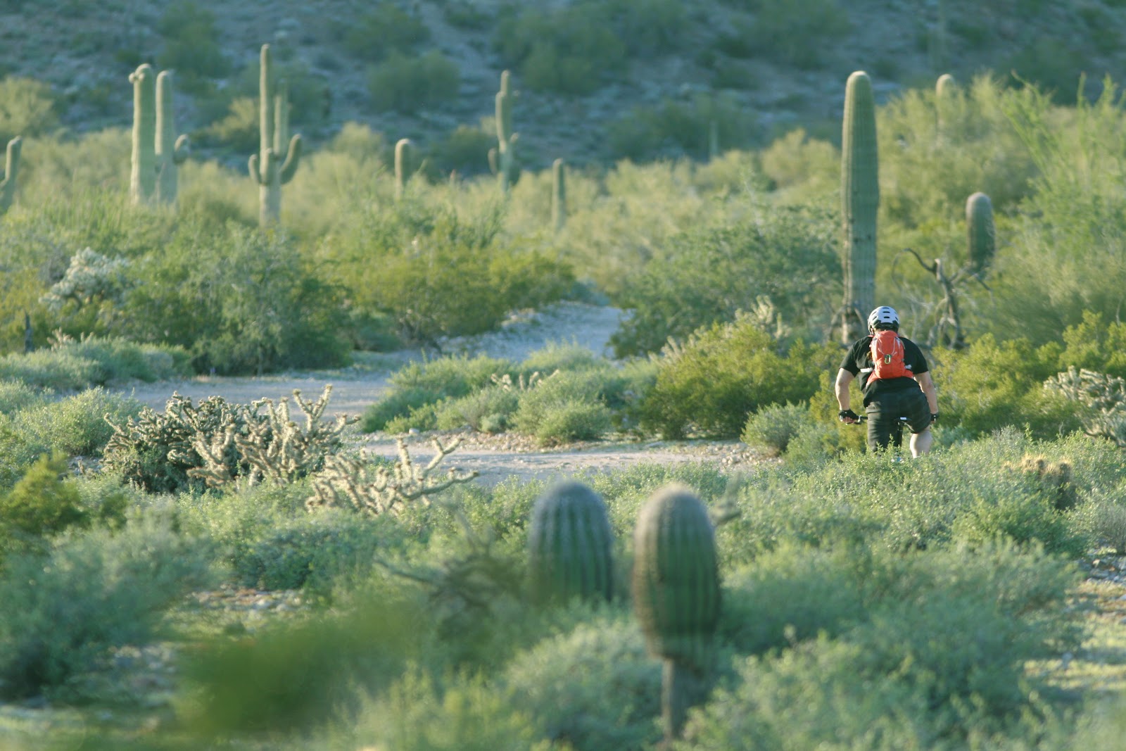 San Tan Mountain Regional Park