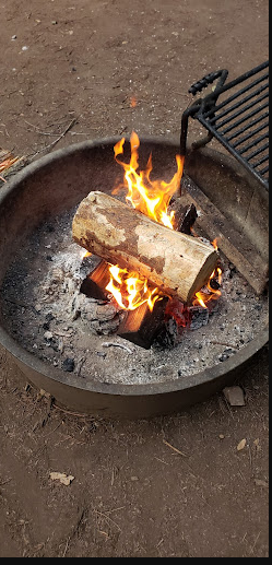 Tan Oak Campground, Mt Madonna County Park