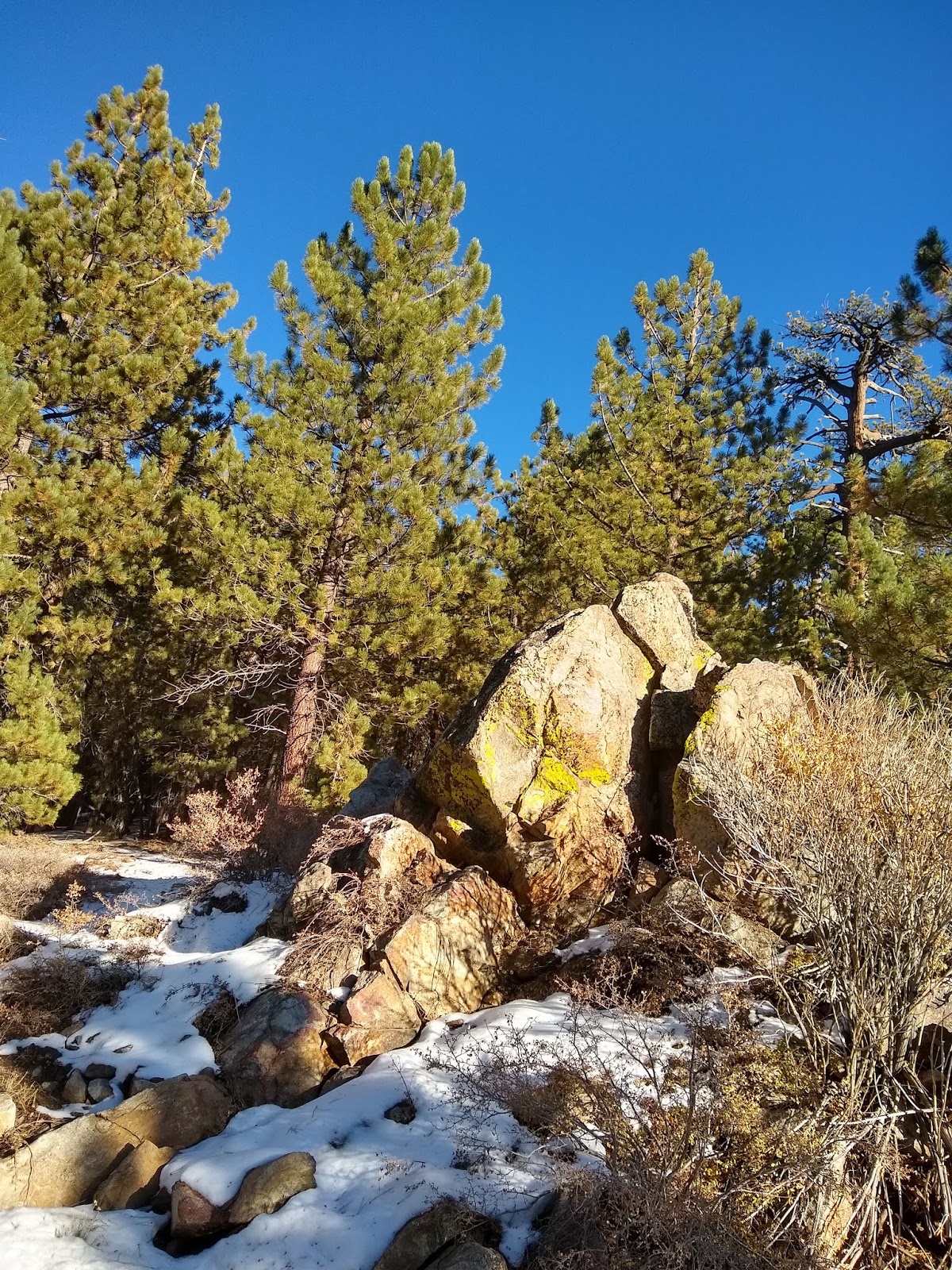 Valle Vista Campground